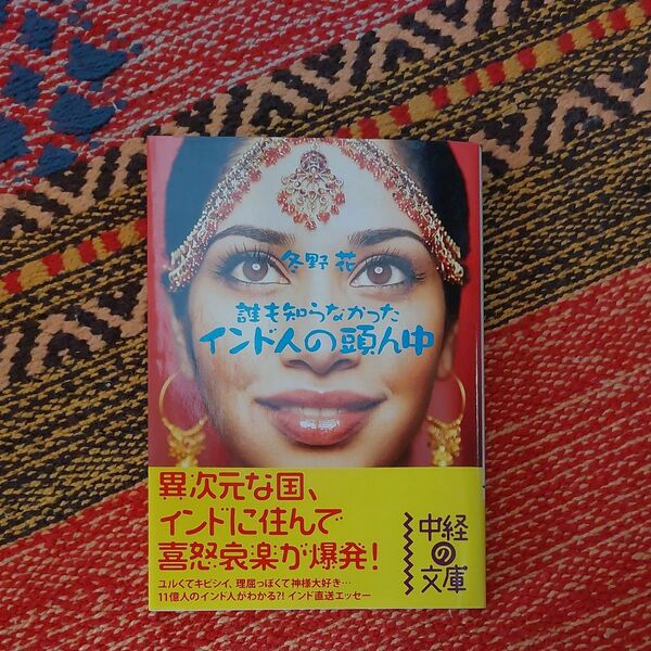 誰も知らなかったインド人の頭ん中 （中経の文庫　ふ－７－１） 冬野花／著 （978-4-8061-3299-8）