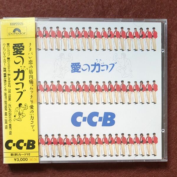 CD【帯付き】C-C-B 愛の力コブ H30P20125 笠浩二 関口誠人