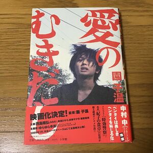 愛のむきだし　原作小説　園子温　小学館　西島隆弘　満島ひかり　