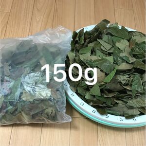 乾燥びわの葉　ビワの葉　150g 