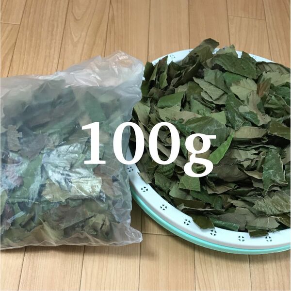 乾燥びわの葉　ビワの葉　100g 