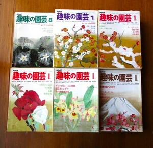 ★【昭和レトロ】貴重！NHK 趣味の園芸＊昭和52年～57年 合計60冊＊ガーデニング＊庭造り★