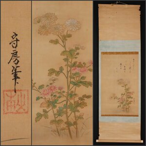 【模写】吉】10326 山本守房？ 作者不明 菊画賛 茶掛け 茶道具 書 狩野派 福岡藩 浮世絵師 掛軸 掛け軸 骨董品