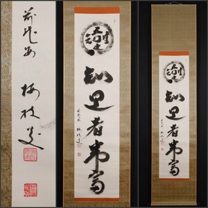 【模写】吉】10443 松倉紹英 書 臨済宗 妙心寺派 龍安寺住職 岐阜県の人 仏教 茶掛け 茶道具 掛軸 掛け軸 骨董品