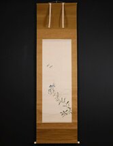 【模写】吉】10425 尾竹竹坡 蜻蛉図 小堀鞆音師事 浮世絵師 尾竹三兄弟 新潟県の人 茶掛け 茶道具 掛軸 掛け軸 骨董品_画像2