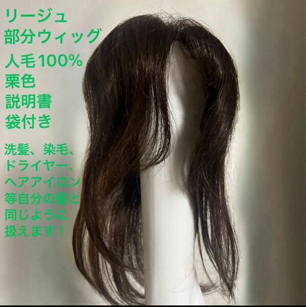 Reju 部分ウィッグ 人毛100% 総手植え ヘアピース 薄毛 白髪隠し 分け目 つむじ 女性用 脱毛 デイリートップウィッグM