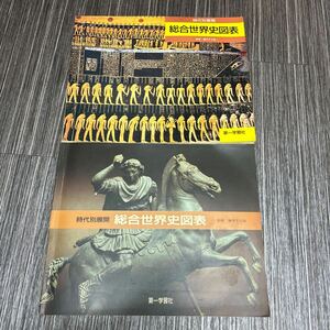 時代別 展開 総合 世界史 図表 2冊セット●藤井千之助/第一学習社/歴史/文化/学習/教科書/教材/社会/オリエント文明/古代/まとめて★471-2