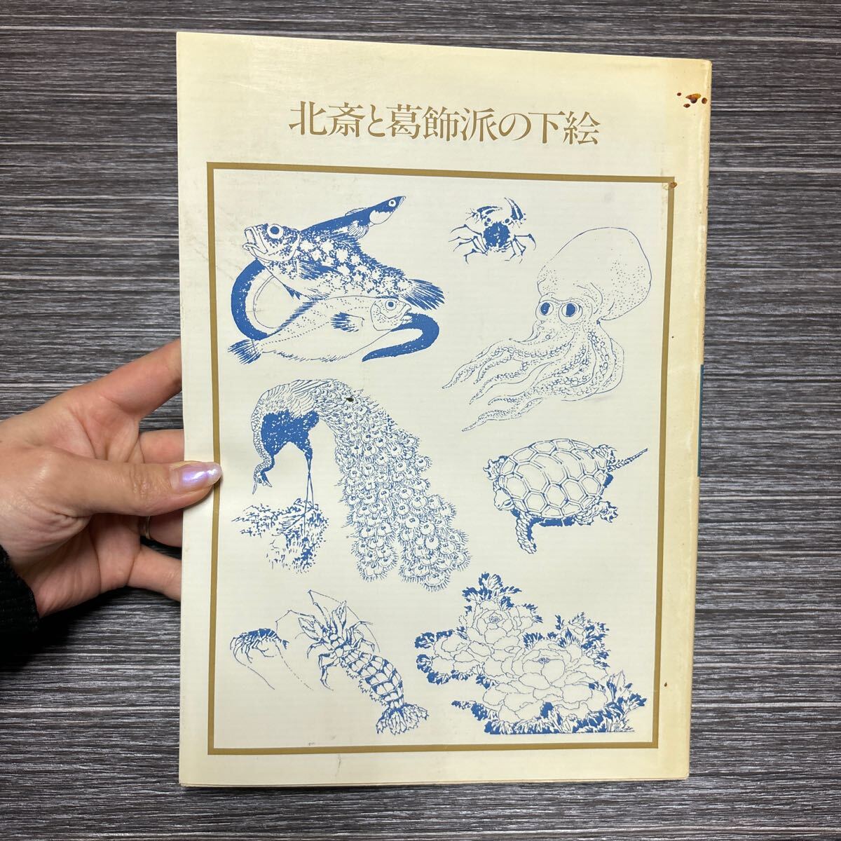 ●¡Difícil de conseguir! Súper raro● Bocetos de Hokusai y la escuela Katsushika Katsushika Hokusai/Manshoku Zukou/Kacho Gaden/Peces y mariscos/Pinturas de peces/Dibujos de Oiran/1987 primera edición/Iwasaki Bijutsusha/Historia japonesa/Historia ★652-3, Cuadro, Libro de arte, Recopilación, Libro de arte