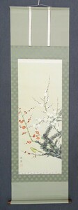 Art hand Auction 品名: 掛軸 ･作者: 山本 信秀 ･画題:｢梅に鶯｣技法: 日本画(直筆) (B2-HIO-R4-6-12-58.5), 絵画, 日本画, 山水, 風月