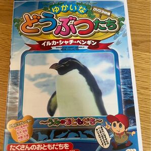 ゆかいなどうぶつたち　DVD 