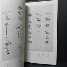 獨立禅師　横巻詩書　独立禅師　黄檗宗　唐様書　黄檗山興福寺　仏教美術　書道　ZEN　_画像4