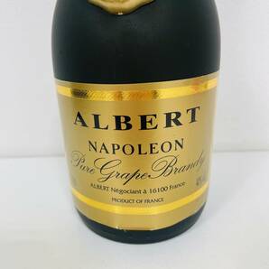 【ALBERT/アルベール】ブランデー NAPOLEON/ナポレオン 40% 700ml 古酒/洋酒★9097の画像2
