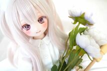 【ましぇり＊まべる】DDH-27 SW肌 カスタムヘッド(難あり)＋ラッピングシールアイ_画像8