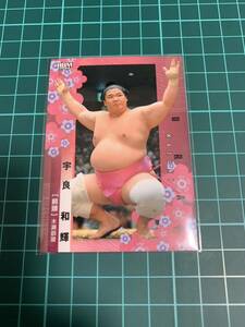 BBM2024大相撲カード 11 宇良 和輝 