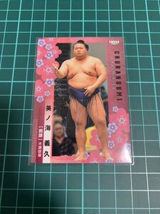 BBM2024大相撲カード 39 美ノ海義久 