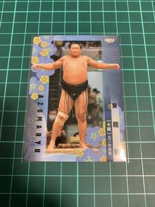 BBM2024大相撲カード 70 東龍 強 