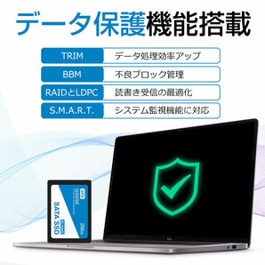 送料無料 新品未開封 複数個あり 256GB 内蔵SSD 2.5インチ 7mm SATAIII SPD 6Gb/s 520MB/s 3D NAND PS4検証済み エラー訂正 Q300SE-256GS3Dの画像7