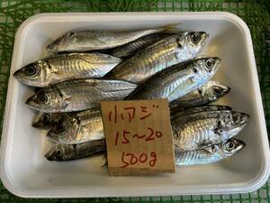 [ Wakayama production ] small ..(15~20 pcs .500g) freezing 