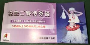 ★送料無料★カップルに最適★スパリゾートハワイアンズ 施設入場券 2枚など 2024年12月31日まで有効