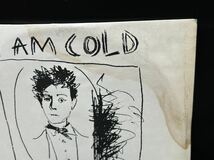 ２１３３　レコード　ＬＰ　Rip Rig & Panic(リップ・リグ&パニック)「I Am Cold」_画像7