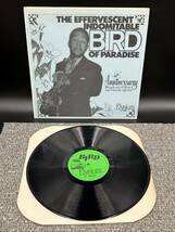 １９０４　レコード　ＬＰ　THE EFFERVESCENT INDOMITABLE OF PARADISE BIRD_画像1
