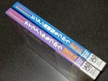 ■即決■DVD「沖縄小林流空手道　ナイファンチをつかう、ピンアン実戦型をつかう」2本セット■_画像7