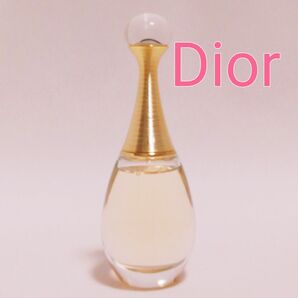 送料無料 クリスチャン ディオール ジャドール オードゥ パルファン50ml 香水 Dior jadore EDP