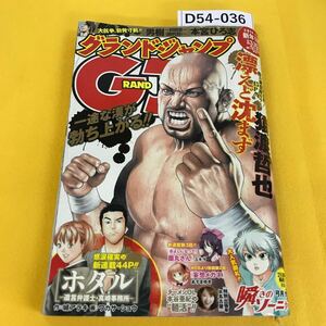 D54-036 グランドジャンプ 2013年新年1号No.026 漂えど沈まず 他 表紙・背表紙に破れあり