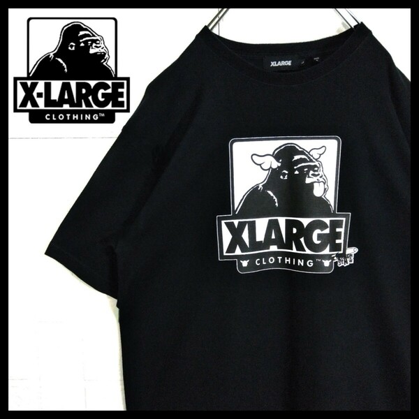 《X-LARGE》ディーフェイス コラボ 　Tシャツ　ロゴプリント　半袖