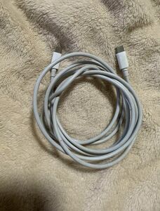 Apple純正 USB-C to USB-C ケーブル(2m) ジャンク