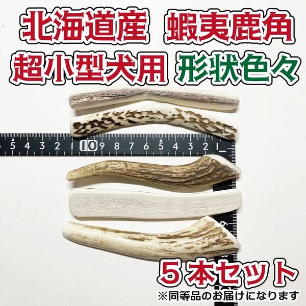 超小型犬用　蝦夷鹿の角　お試しで人気　形状色々5本セット　北海道産　犬　おもちゃ