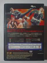 ＤＶＤ　電撃フリント　ＧＯ！ＧＯ作戦　管理（Ｉ_画像3