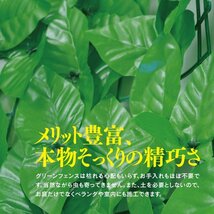 グリーンフェンス グリーンカーテン 1m×3ｍ 100cm×300cm ダークグリーン ラティス トレリス 葉っぱ 目隠し 庭 ベランダ 日よけ カーテン_画像3