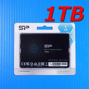 【SSD 1TB】シリコンパワー Ace A55 SPJ001TBSS3A55B