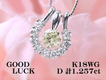 【定額】【新品・未使用】天然ダイヤモンド 計1.257ct,一粒ダイヤ 0.757ct,K18WG 3WAY 馬蹄デザイン ダイヤモンド ペンダント_画像1