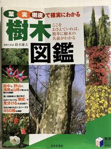  tree illustrated reference book leaf * real *. leather . surely understand | Suzuki . Hara ( author )