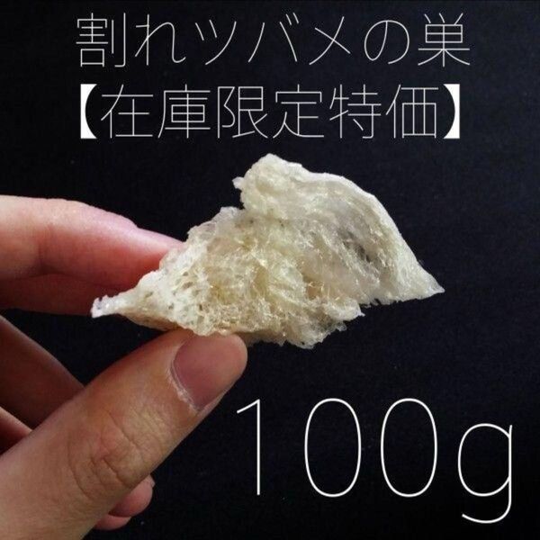 訳あり マレーシア産 フレーク(割れ・カケラ) 割れたツバメの巣 燕の巣 つばめの巣 燕窩 美容 美肌 100g