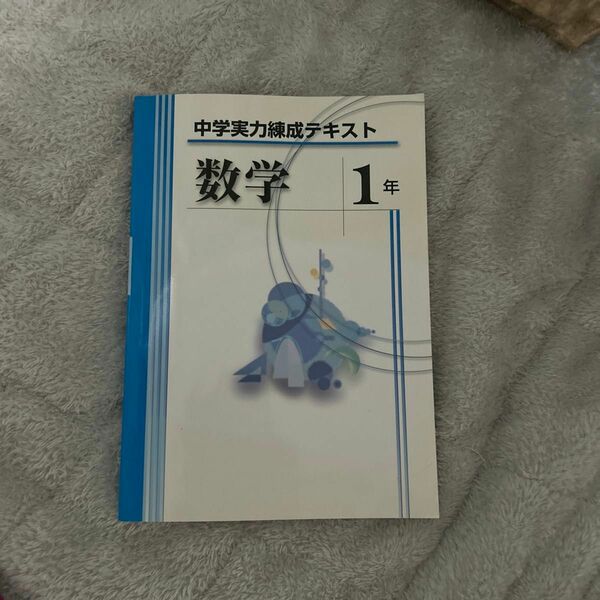 中学実力練成テキスト 数学1年