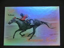 ★ タマモクロス ★ DREAM VISION The Victory 2000 HORSE CARD ★ Valiant & Dream 2種 ★ ドリームビジョン サラブレッドカード_画像2