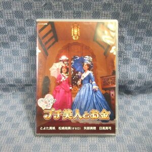 K090●とよた真帆 松嶋尚美 矢部美穂 日高真弓「プチ美人とお金」DVD レンタル使用品