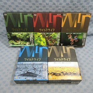 K283●NHK「ワイルドライフ ブルーレイBOX I～V(1～5)」Blu-ray BOX 全5巻セットの画像1