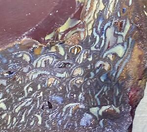 オーストラリア産大きな天然ボルダーオパール原石105.28gスライスド未研磨
