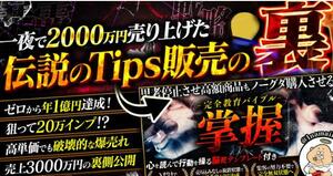 ★【なまいきくん】一夜で2000万円売り上げた伝説のTips販売の裏★完全教育バイブル【掌握】の裏側★　