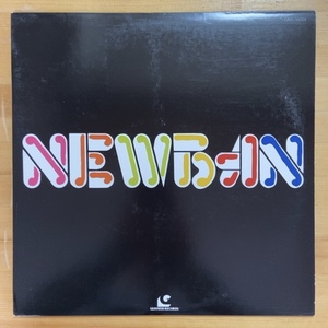 NEWBAN (RE) LP