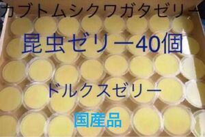 カブトムシ　クワガタ　昆虫用　ドルクスゼリー　40個　高タンパクオオクワ外国産 フジコン　 カブトムシゼリー クワガタゼリー