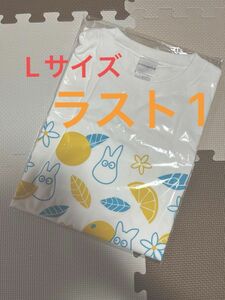 となりのトトロ　ジブリパークとジブリ展　山口会場限定デザイン　Tシャツ Lサイズ