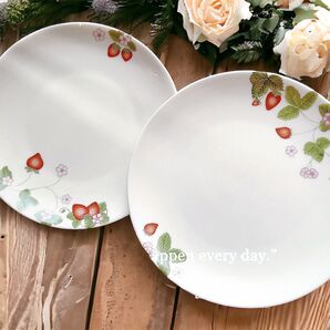 いちご柄21cm 2点セット