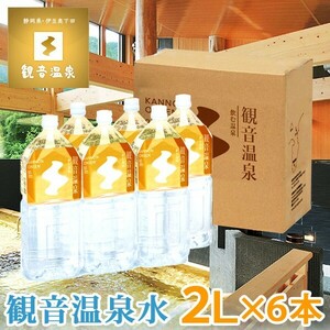 飲む温泉 観音温泉 2L × 6本 ペットボトル