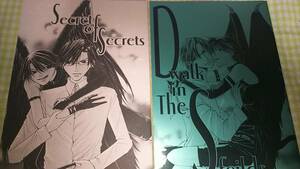 テ12★テニスの王子様★「Secret of Secrets」「D walk in The S,feilds」リョ塚（リョーマ×手塚）/銀鏡神楽（若林健）