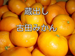 【こうの家】えひめ西宇和　古田みかん　贈答用　5k